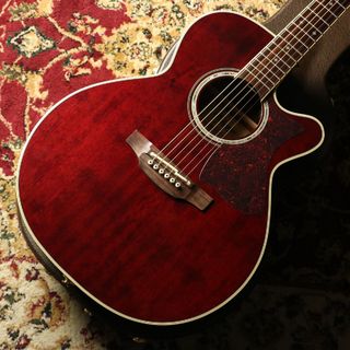 Takamine DMP551C WR（Wine Red）【シダートップ】