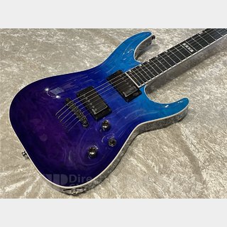 E-II、Horizon NT-IIの検索結果【楽器検索デジマート】