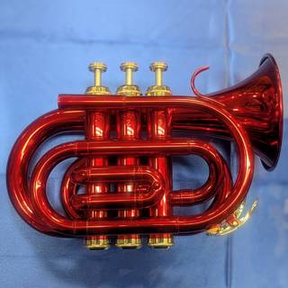 トランペットの検索結果【楽器検索デジマート】