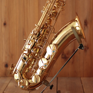 YANAGISAWA T-WO1