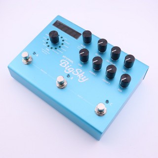 strymon【USED】 BigSky