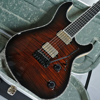 MAYONES Regius V24 6st Trans Dirty Brown Burst Gloss 【カスタムオーダー】