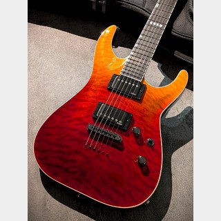E-II、Horizon NT-IIの検索結果【楽器検索デジマート】