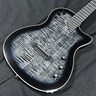 エレガットギターの検索結果【楽器検索デジマート】