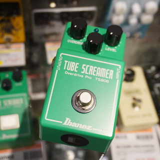 TS808 Cult Cloning Modの検索結果【楽器検索デジマート】