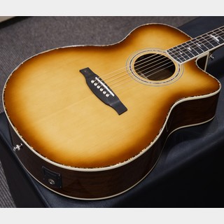 アコースティックギター／エレクトリック・アコースティックギター