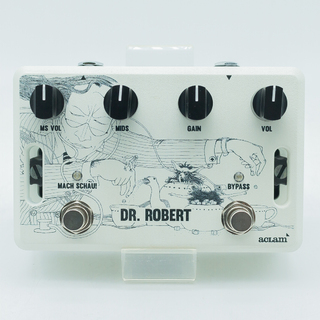 ACLAM GUITARS DR.ROBERT