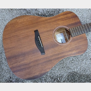 IbanezAAD140 OPN (Open Pore Natural)  -Advanced Acoustic-