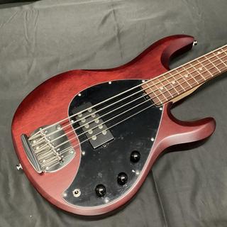 Sterling by MUSIC MAN SUB STINGRAY RAY5 Walnut Satin 5弦ベース