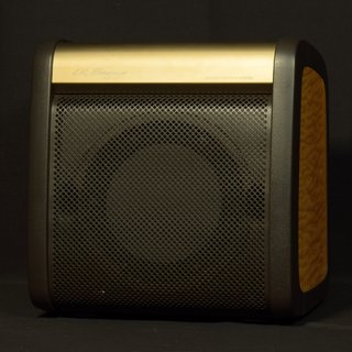 L.R.BaggsAR-1 Acoustic reference amplifier Limited【福岡パルコ店】