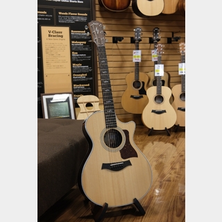 Taylor 412ce Rosewood