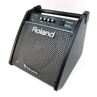 RolandPM-100 Personal Monitor
