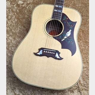 Gibson Dove Original AN【トラ杢メイプル個体】【ゴージャスな極鳴り】【2024年製個体】