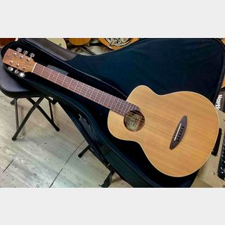 希少 美品 aNueNue Bird M12 ソフトケース付き アヌエヌエ