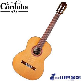Cordobaクラシックギター C7 CD / Natural