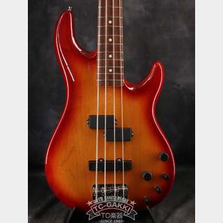 Fender 2005 Deluxe ZONE BASS