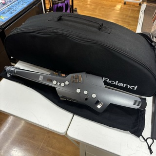 Roland AE-10(マウスピース交換済)