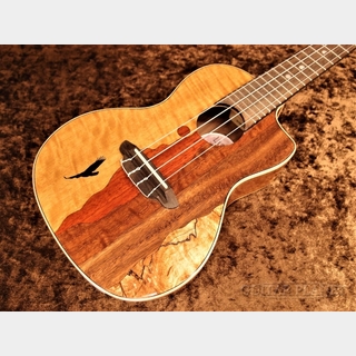 Luna Guitars Vista Eagle Concert Uke w/Preamp 【コンサート/イーグル】【18回金利0%対象】【送料込】