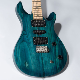 Paul Reed Smith(PRS) SE Swanp Ash Special エレキギター