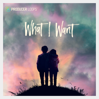 PRODUCER LOOPSWHAT I WANT