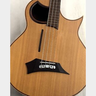 アコースティック・ベース／エレアコ・ベースの検索結果【楽器検索