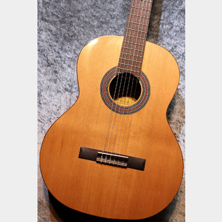 Orpheus Valley Guitars【小物6点サービス!】Fiesta F65C 杉 / ローズウッド【深い音色です】【現物写真】【池袋店在庫品】