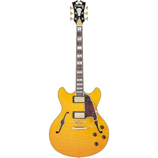 D'Angelico、Deluxe DCの検索結果【楽器検索デジマート】