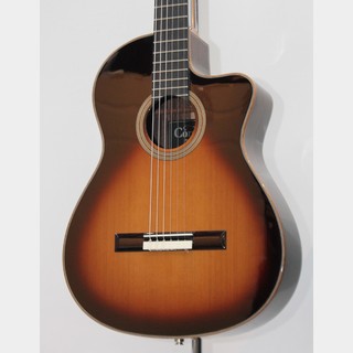 エレガットギターの検索結果【楽器検索デジマート】