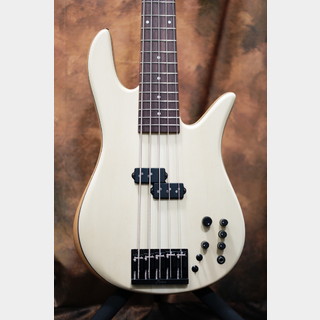 Fodera Mornach P5 Bolt-on Custom Holly Wood