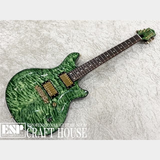 EDWARDS レスポールタイプ 2015年製 Seymour Duncan搭載 値下げ