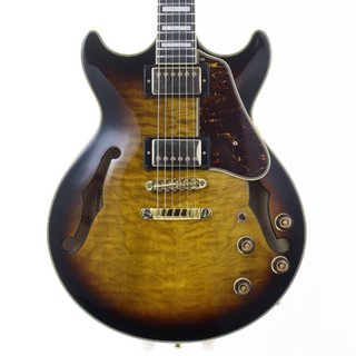 エレクトリックギター ＞ セミアコ、Ibanezの検索結果【楽器検索