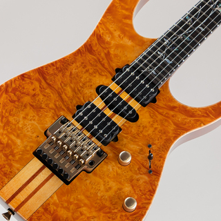 Ibanez IV1RG