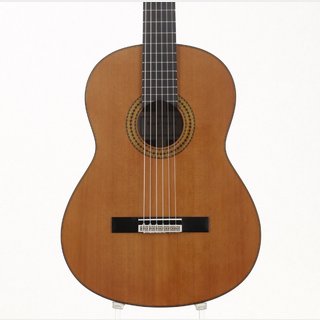 YAMAHA GC22C 杉/650mm 【池袋店】