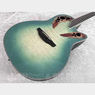 アコースティックギター／エレクトリック・アコースティックギター