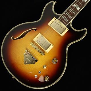 エレクトリックギター ＞ セミアコ、Ibanezの検索結果【楽器検索