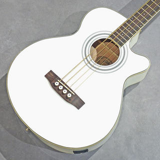 アコースティック・ベース／エレアコ・ベースの検索結果【楽器検索