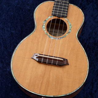 G string　ジーストリング　ソプラノ　ロングネック 演奏家からの絶大な人気のあるウクレレブランド】G-String M1LN