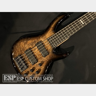 E-II BTL-5 Black Natural Burst