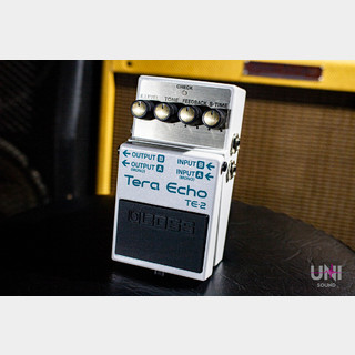 BOSS TE-2 Tera Echo