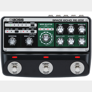 BOSS RE-202 Space Echo