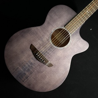 アコースティックギター／エレクトリック・アコースティックギター