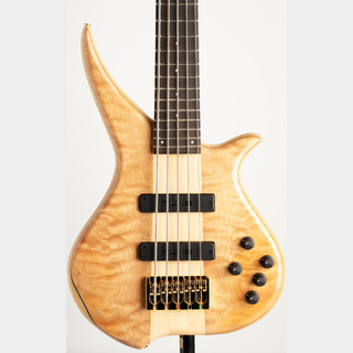 ベース、Tuneの検索結果【楽器検索デジマート】