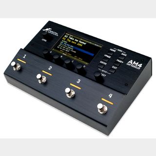 FRACTAL AUDIO SYSTEMS AM4