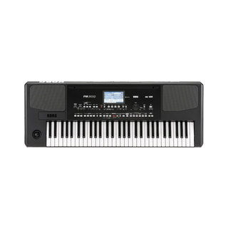 KORG コルグ Pa300 アレンジャー・キーボード