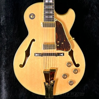 エレクトリックギター、Ibanez、セミアコの検索結果【楽器検索デジマート】
