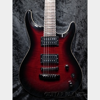 FUJIGEN(FGN) EEL-FM BCS