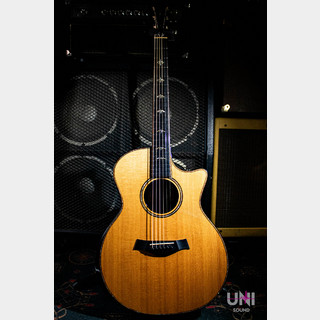 Taylor 914ce ES2 / 2015