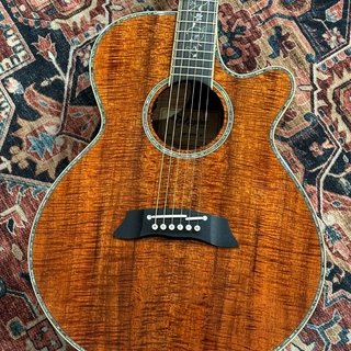 Takamine DMP100K N 【チョイキズ特価】【日本製】【エレアコ】