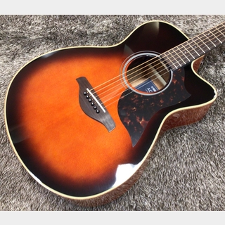 YAMAHA AC1M タバコブラウンサンバースト(TBS)【エレアコ】【アウトレット特価】