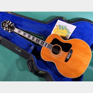 アコースティックギター、Guild、F-50の検索結果【楽器検索デジマート